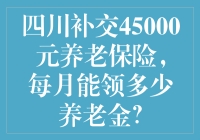 四川补交45000元养老保险，每月能领多少养老金？