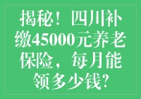 揭秘！四川补缴45000元养老保险，每月能领多少钱？